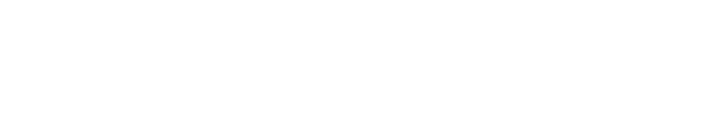 Nodilink